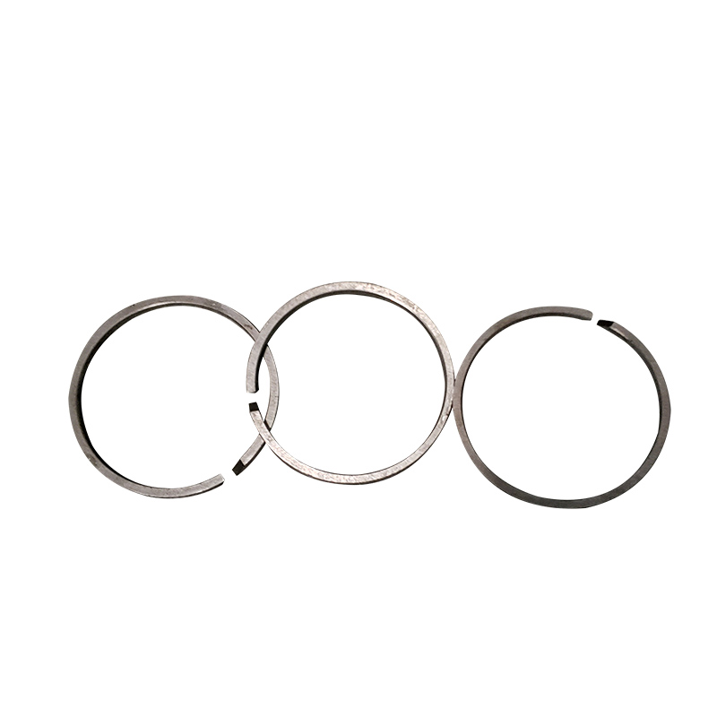 plunger ring